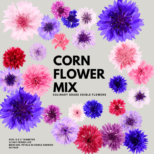 Corn Flowers - 50 Mix Fresh Edible Flowers - Heirloom Acres NOTL