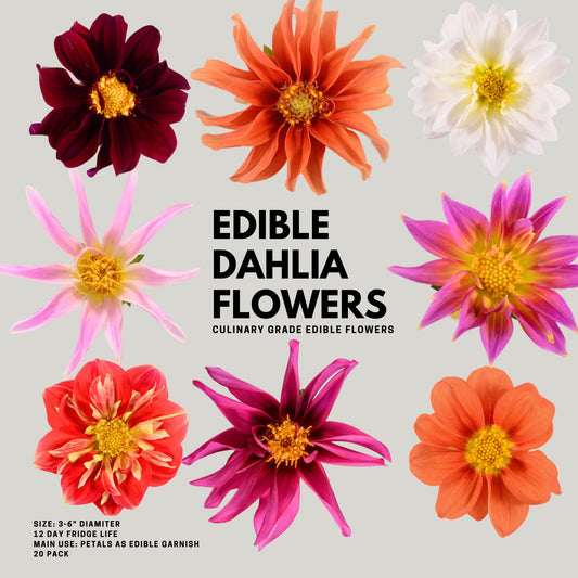 Dahlia - 20 edible flower mix - Heirloom Acres NOTL