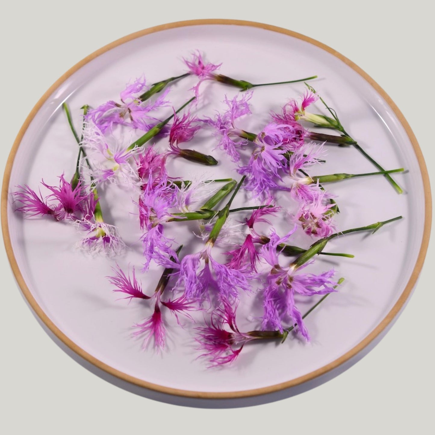 Fresh Dianthus 20 flower - Heirloom Acres NOTL
