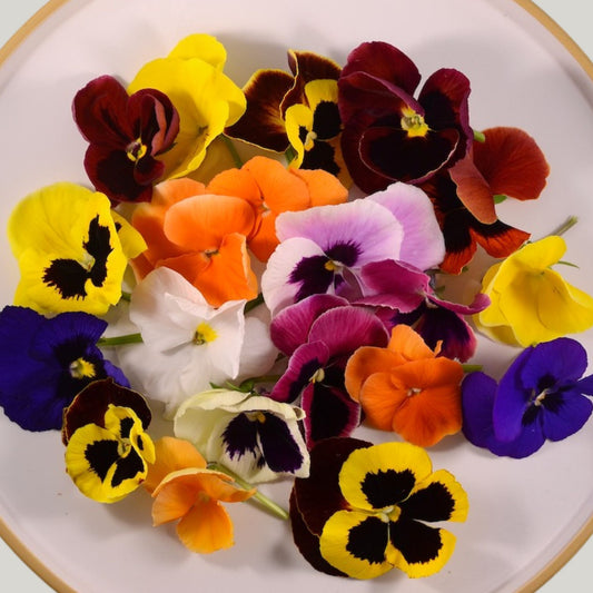 Fresh Pansy & Viola - 20 Mix Edible Flowers - Fragrant Mix - Heirloom Acres NOTL