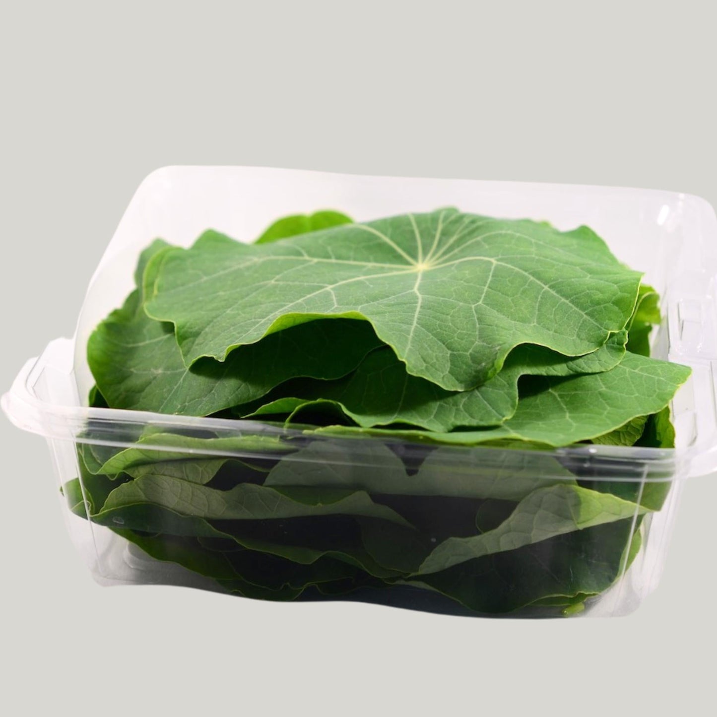 Large Nasturtium Leafs - Heirloom Acres NOTL