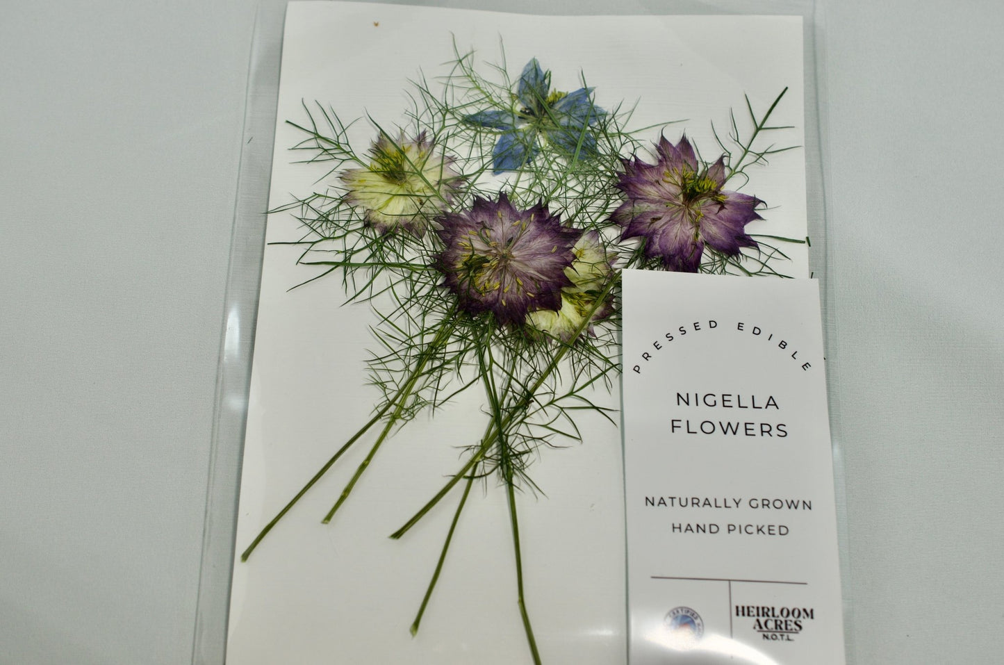 Nigella - Pressed Edible Flowers with stem - Heirloom Acres NOTL