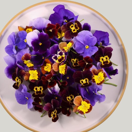 Pansy & Viola - 50 Mix Fresh Edible Flowers - Heirloom Acres NOTL