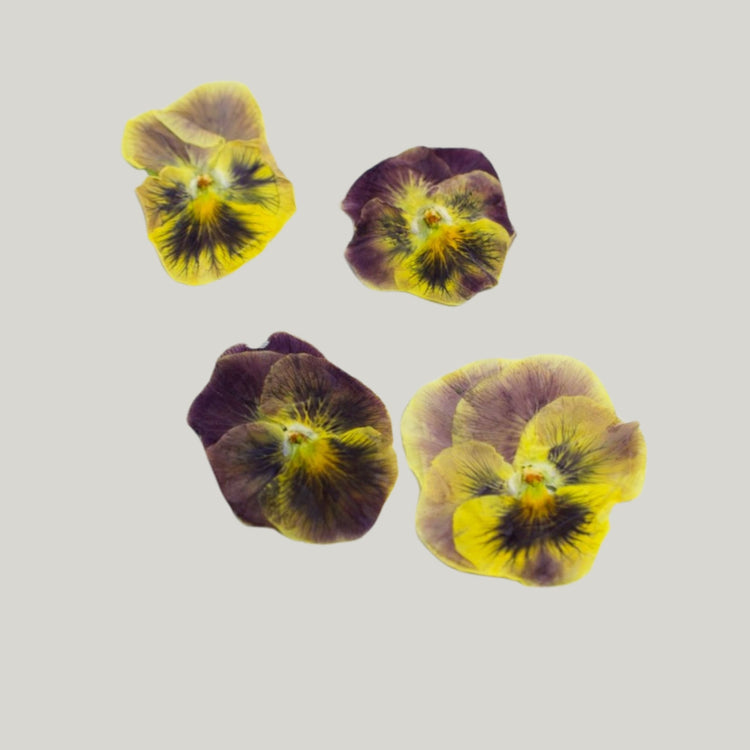 Pressed Edible Flowers - Heirloom Acres NOTL