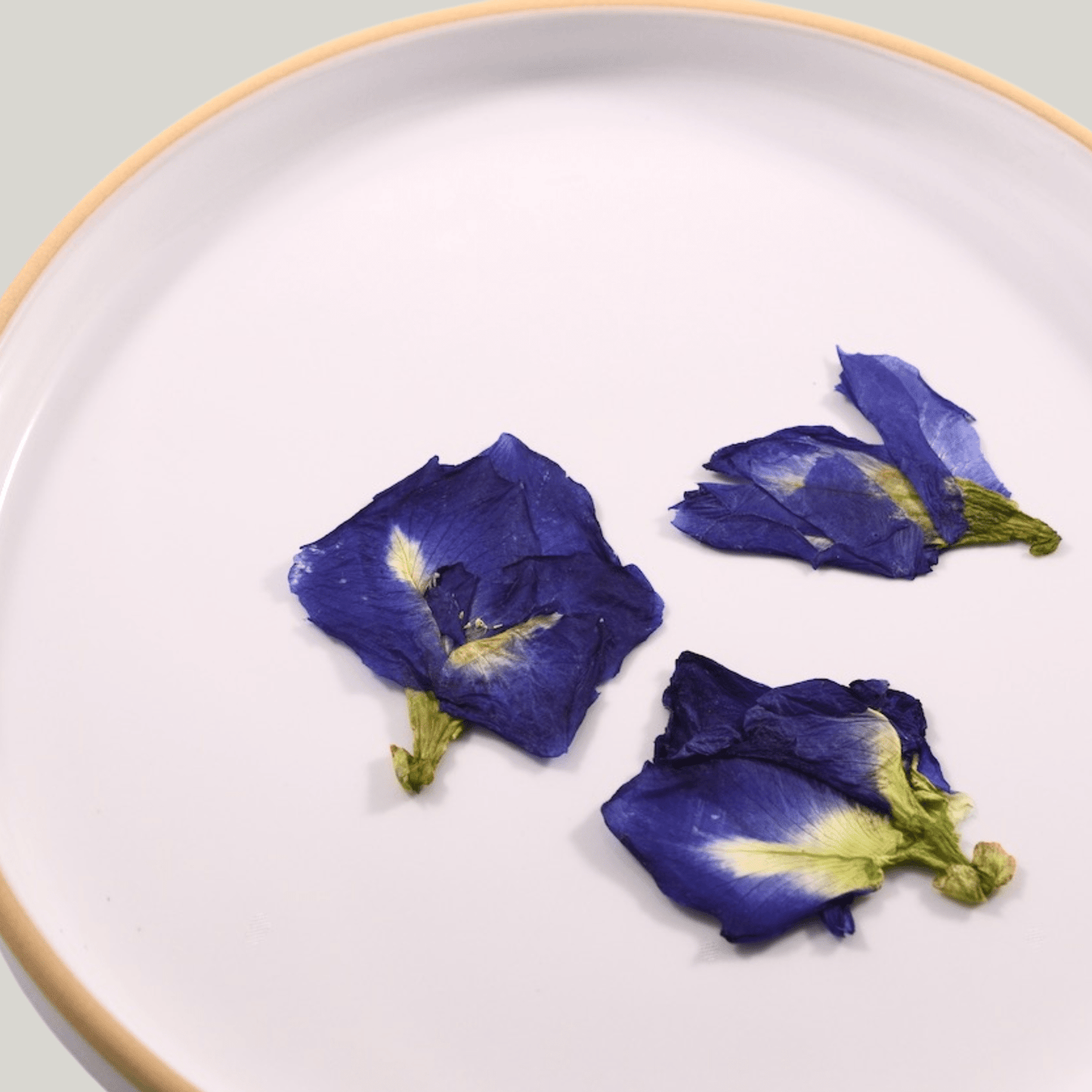 Blue Butterfly Pea - Pressed Edible Flower - Heirloom Acres NOTL