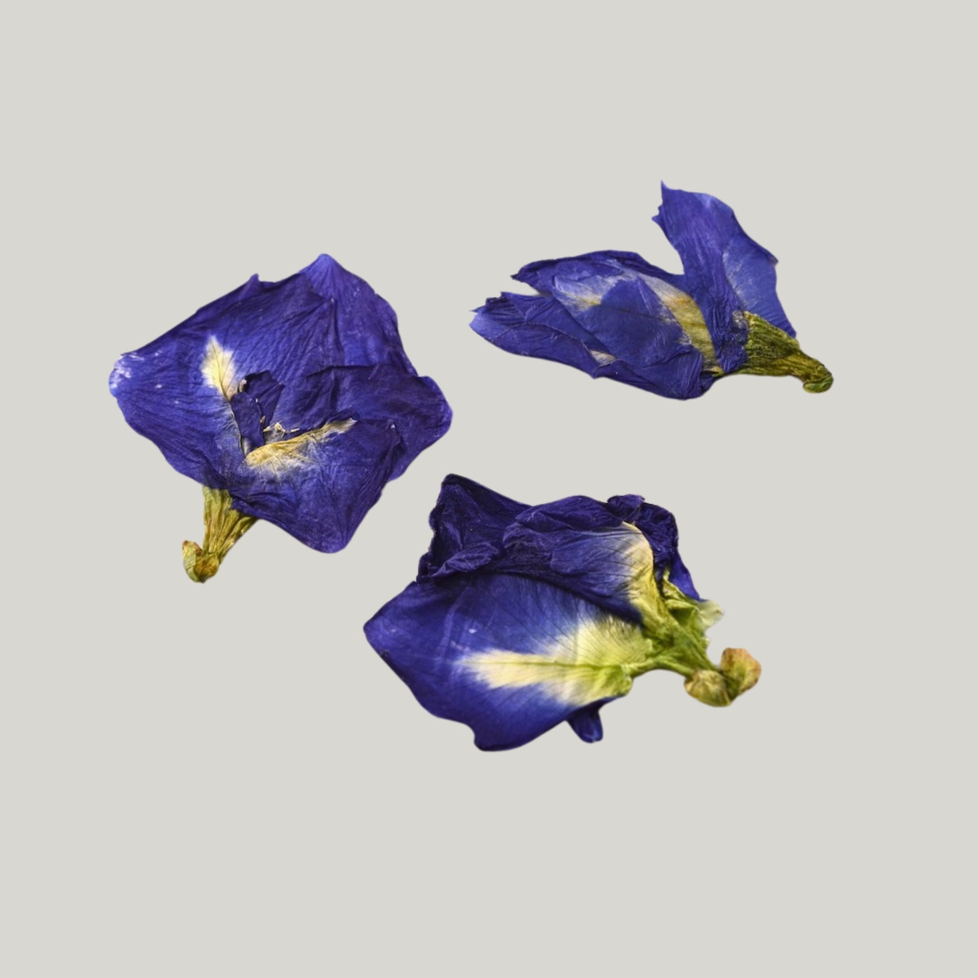 Blue Butterfly Pea - Pressed Edible Flower - Heirloom Acres NOTL