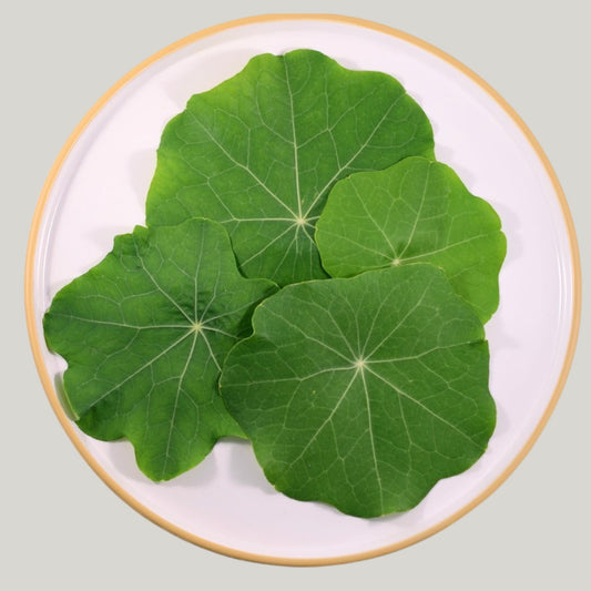 Large Nasturtium Leafs - Heirloom Acres NOTL