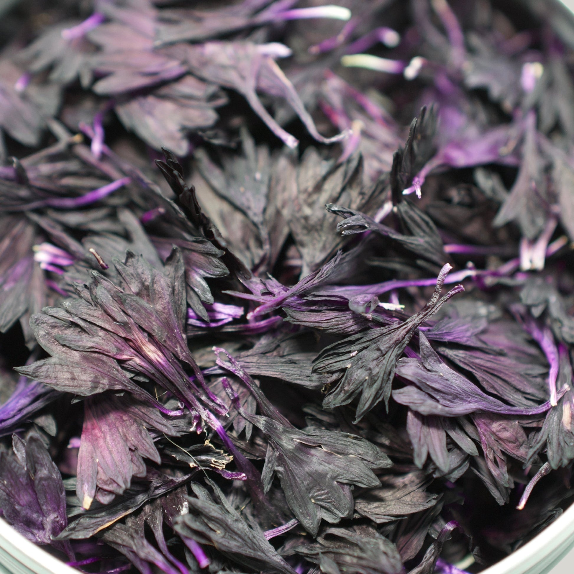 Midnight Corn Flower Petals - Dried Edible Flower - Heirloom Acres NOTL