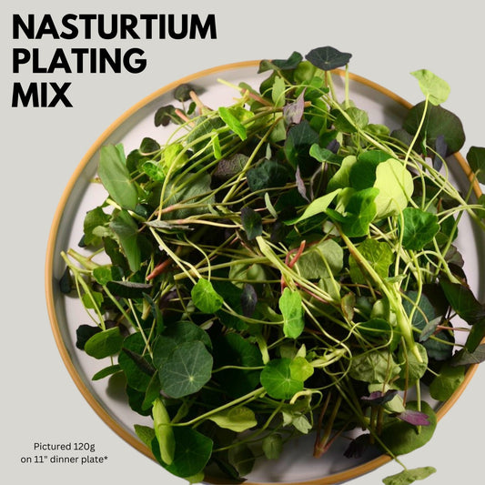Nasturtium Plating Mix - Heirloom Acres NOTL