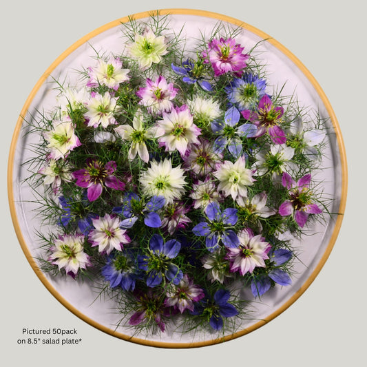 Nigella - 50 Mix Fresh Edible Flowers - Heirloom Acres NOTL