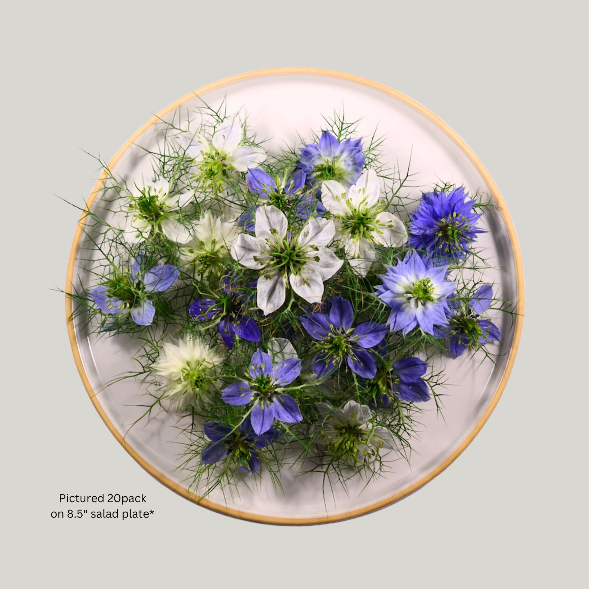 Nigella Blue Shades - 20 edible flowers - Heirloom Acres NOTL