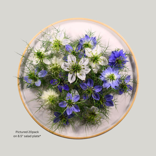 Nigella Blue Shades - 20 edible flowers - Heirloom Acres NOTL