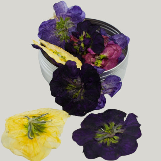 Pressed Stock Flowers - Heirloom Acres NOTL