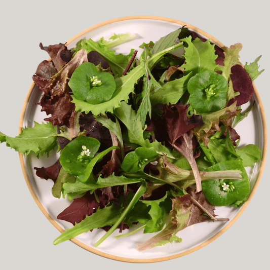 Spring Salad Mix - Heirloom Acres NOTL